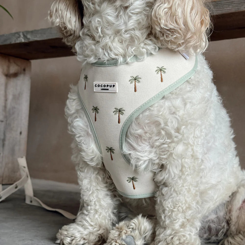 Palm Springs Harness