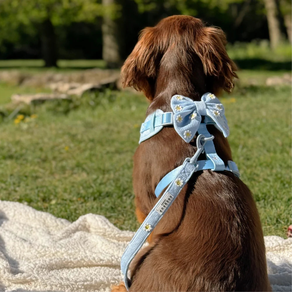 Blue Daisy Dream Poop Bag Holder