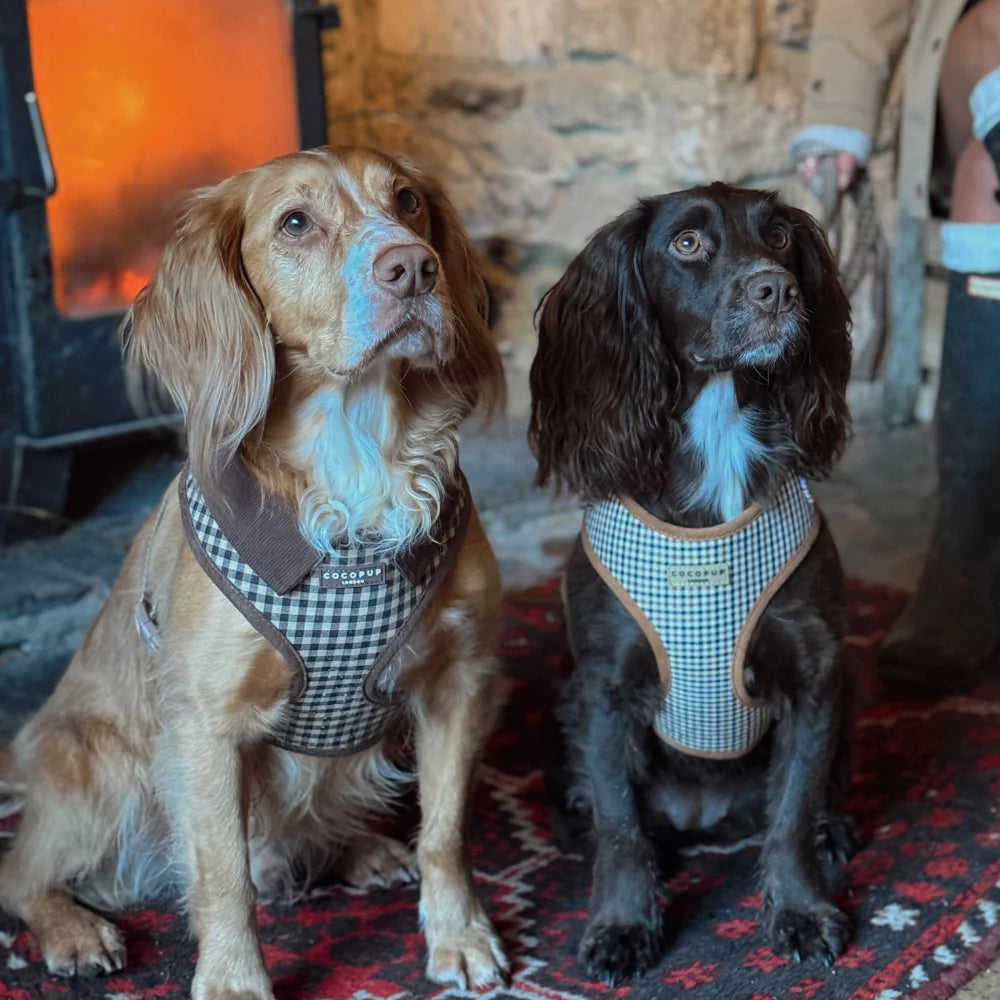 Heritage Harness