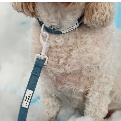 Cloud Nine Leash