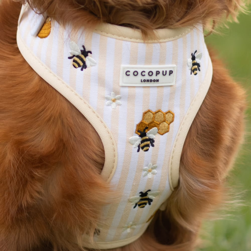 Honey Meadow Harness