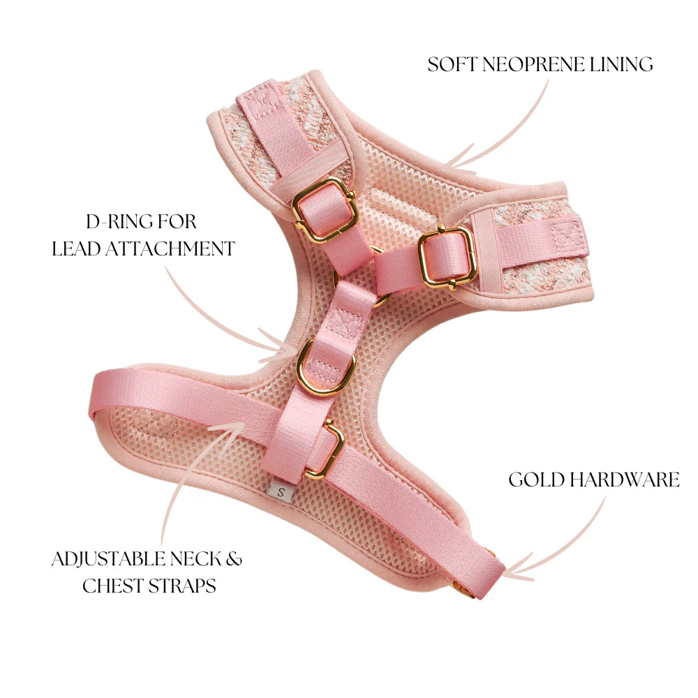 Pink Tweed Harness - Bridgerton