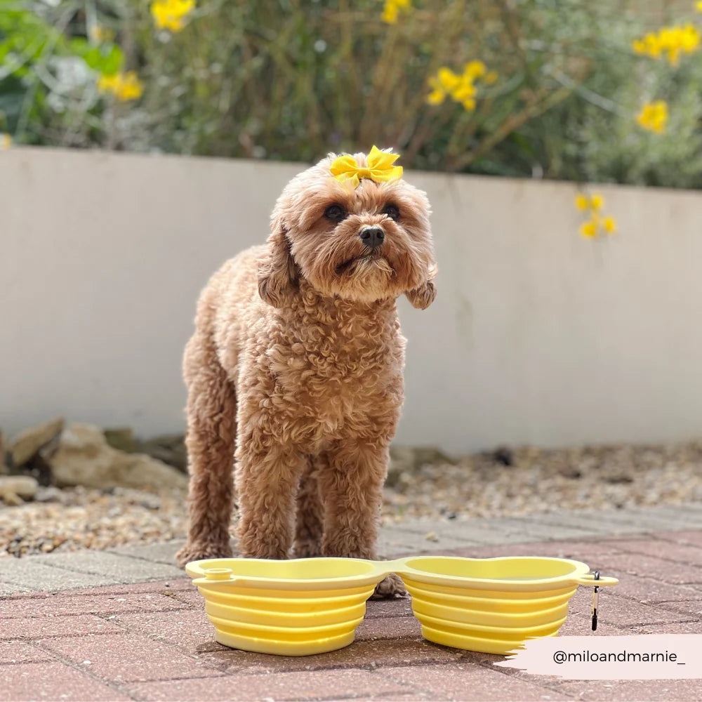 Heart Dog Bowl - Portable & Collapsible (Yellow)