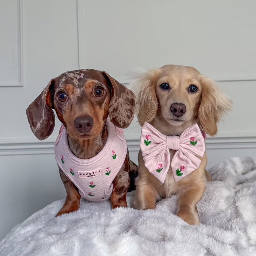 Tulip Tails Collar