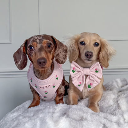 Tulip Tails Collar