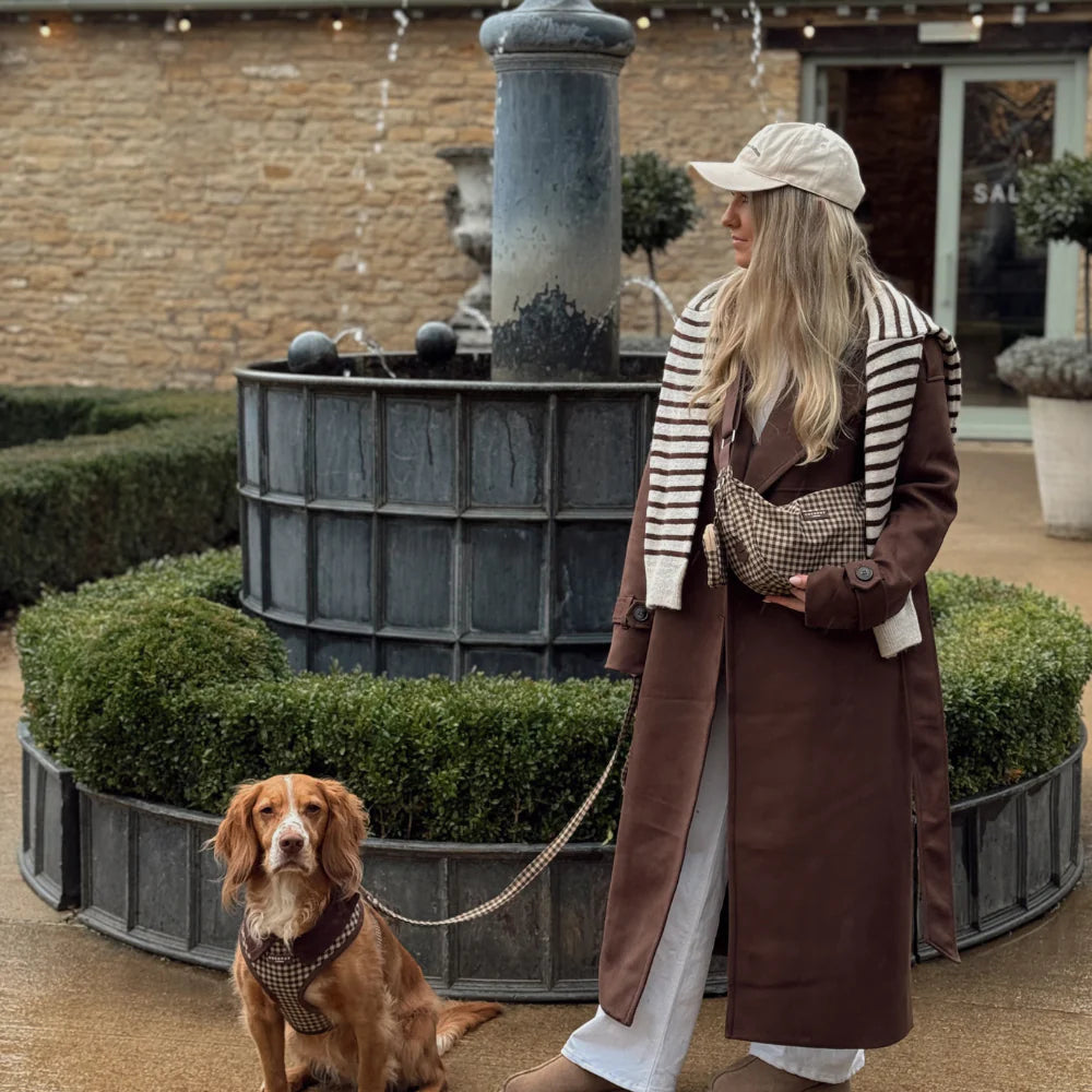 Cotswold Leash