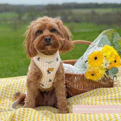 Honey Meadow Harness
