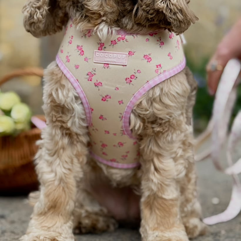 English Rose Harness