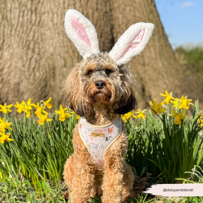 Farmyard Harness