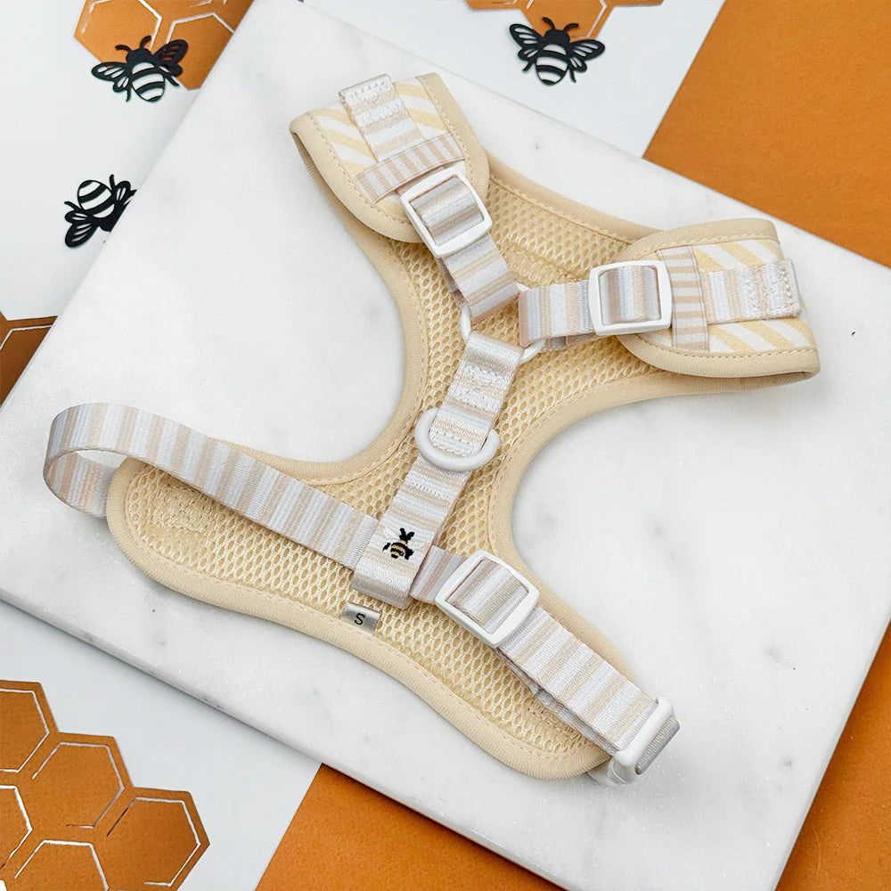 Honey Meadow Harness