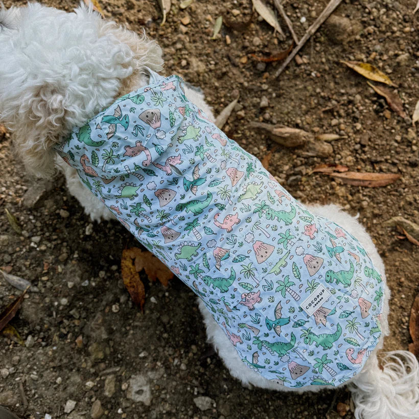Dino-Paw Dog Raincoat