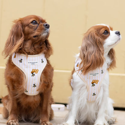 Honey Meadow Harness
