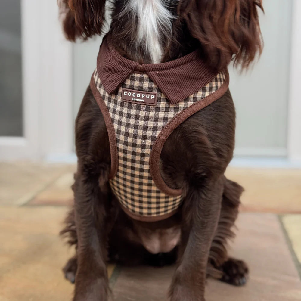 Cotswold Harness