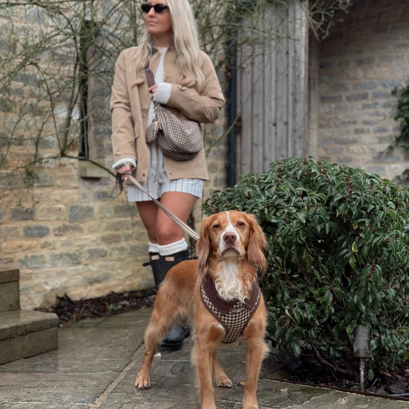 Cotswold Harness