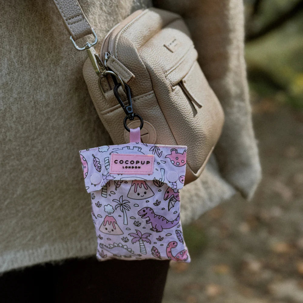 Princess Dino Dog Raincoat