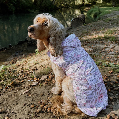 Princess Dino Dog Raincoat