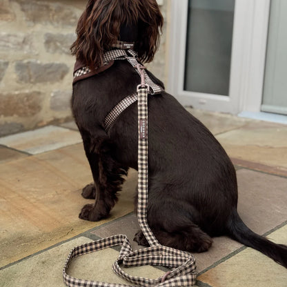Cotswold Leash