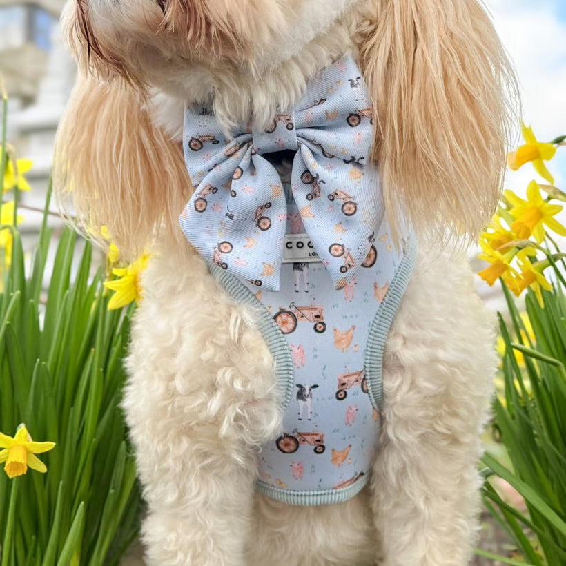 Barnyard Harness
