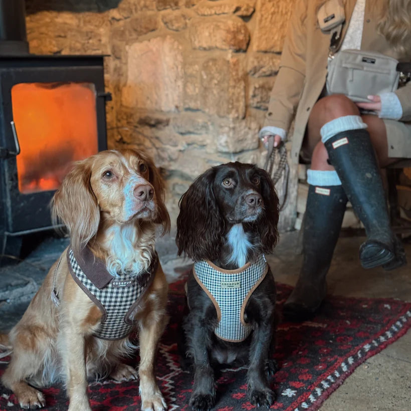 Cotswold Harness