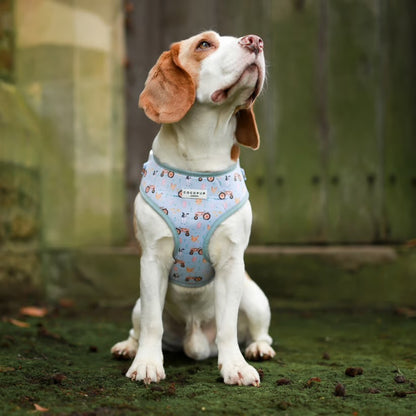 Barnyard Harness