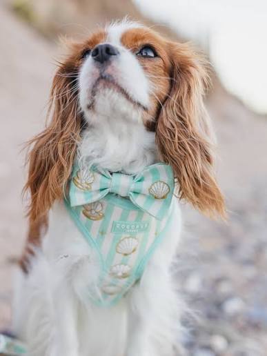 Mermaid Pearl Bow Tie