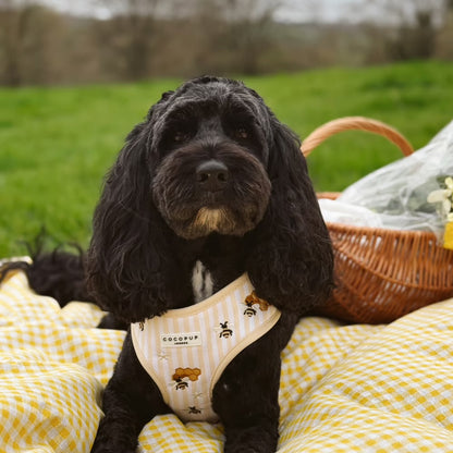 Honey Meadow Harness
