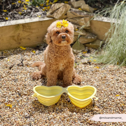 Heart Dog Bowl - Portable & Collapsible (Yellow)