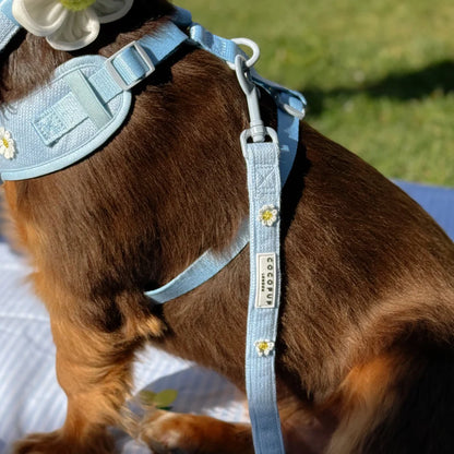 Blue Daisy Dream Leash