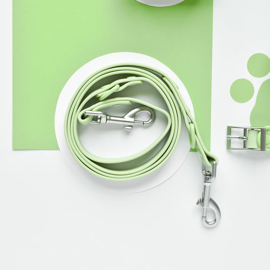 Matcha Leash - Surf’s Up! 🏖️