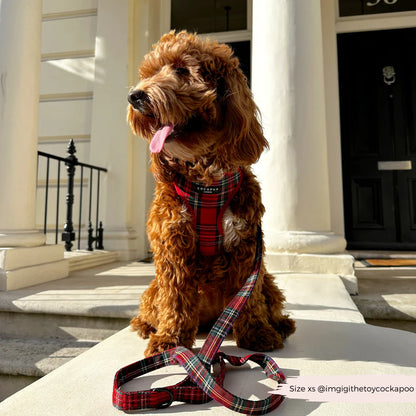 Tartan Leash
