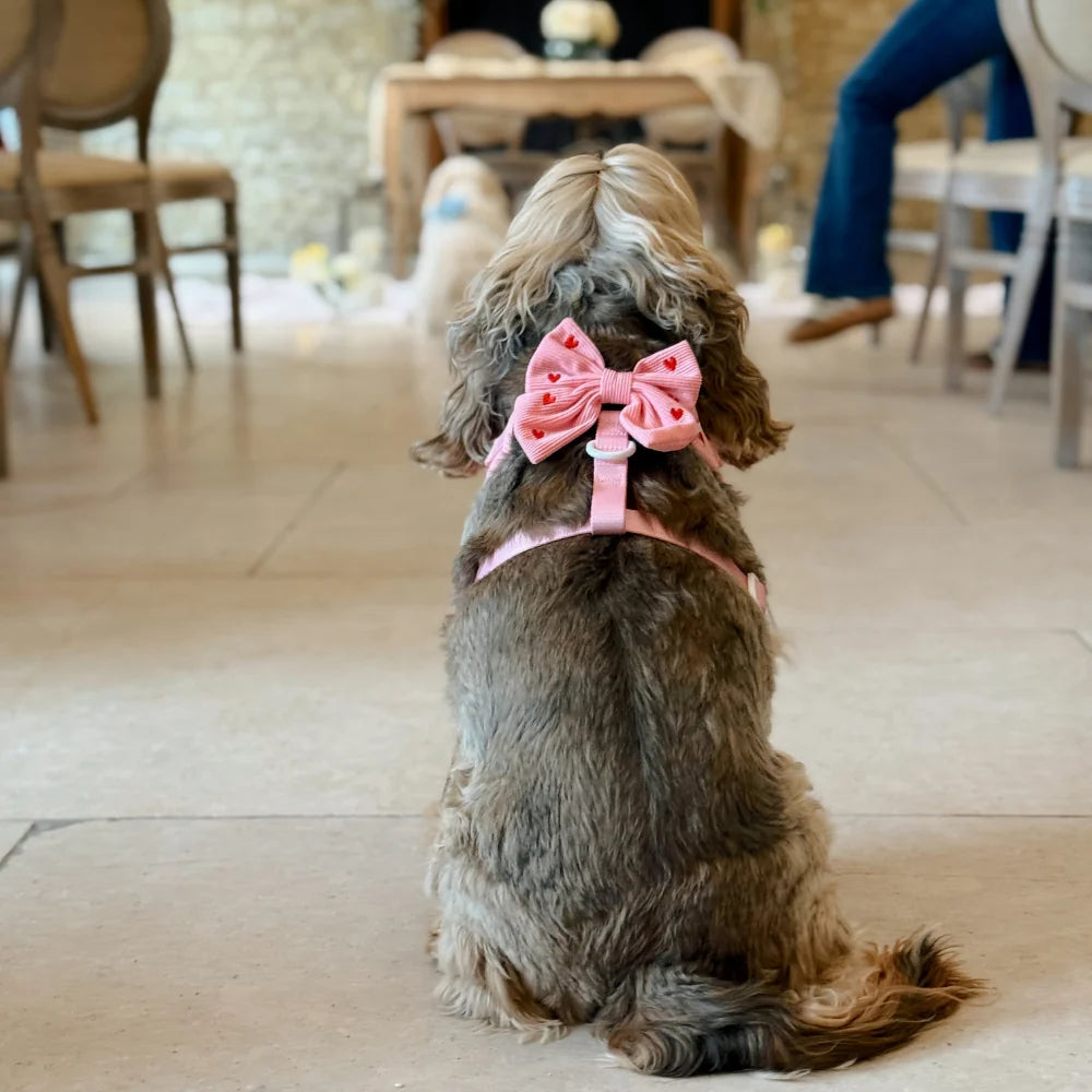 Pink Heartstrings Sailor Bow