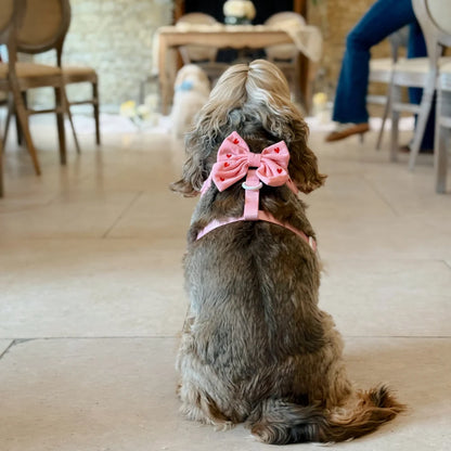 Pink Heartstrings Sailor Bow