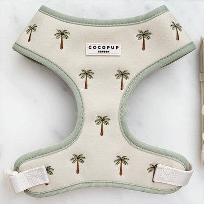 Palm Springs Harness
