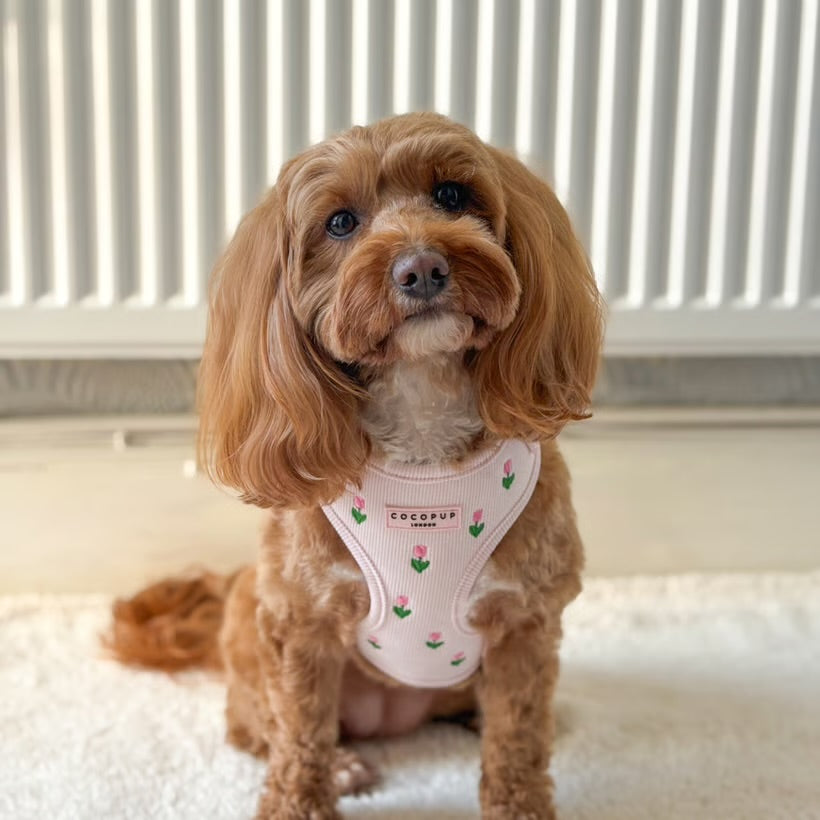 Tulip Tails Harness