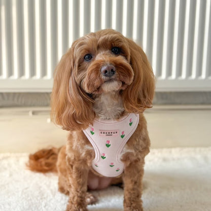 Tulip Tails Harness