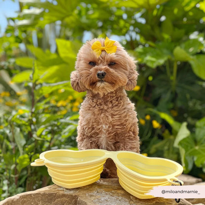 Heart Dog Bowl - Portable & Collapsible (Yellow)