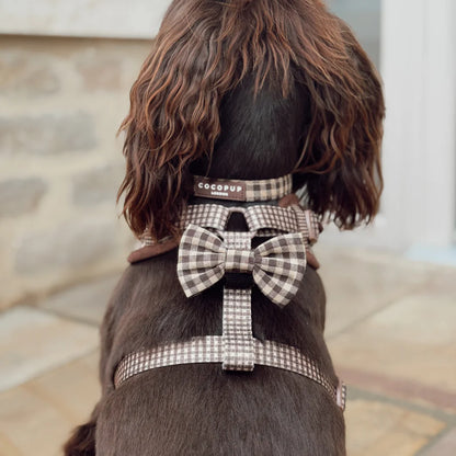 Cotswold Collar