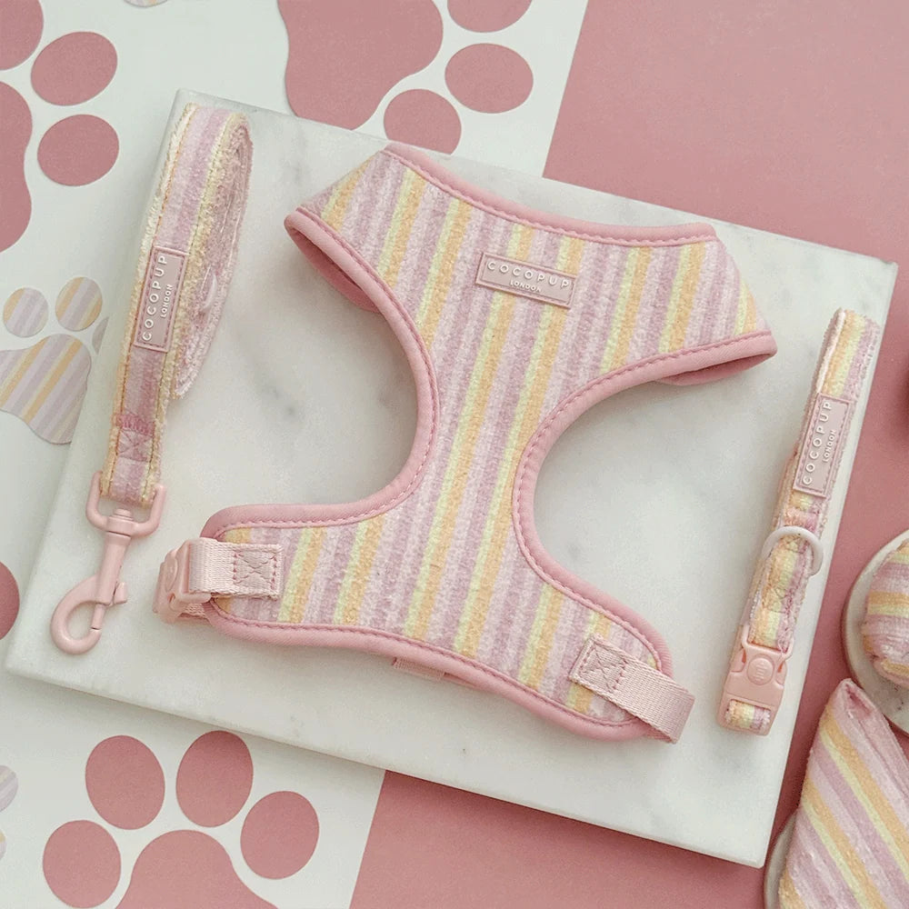 Pastel Stripes Cabana Harness