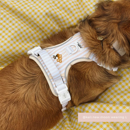 Honey Meadow Explore Harness - XL