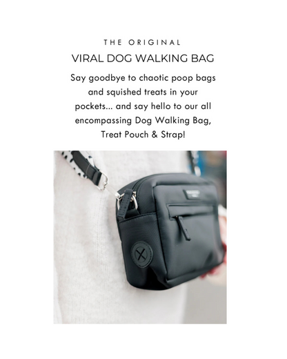 The Viral Dog Walking Bag