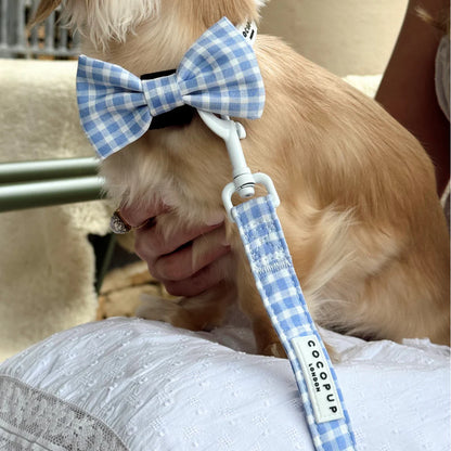 English Blue Leash
