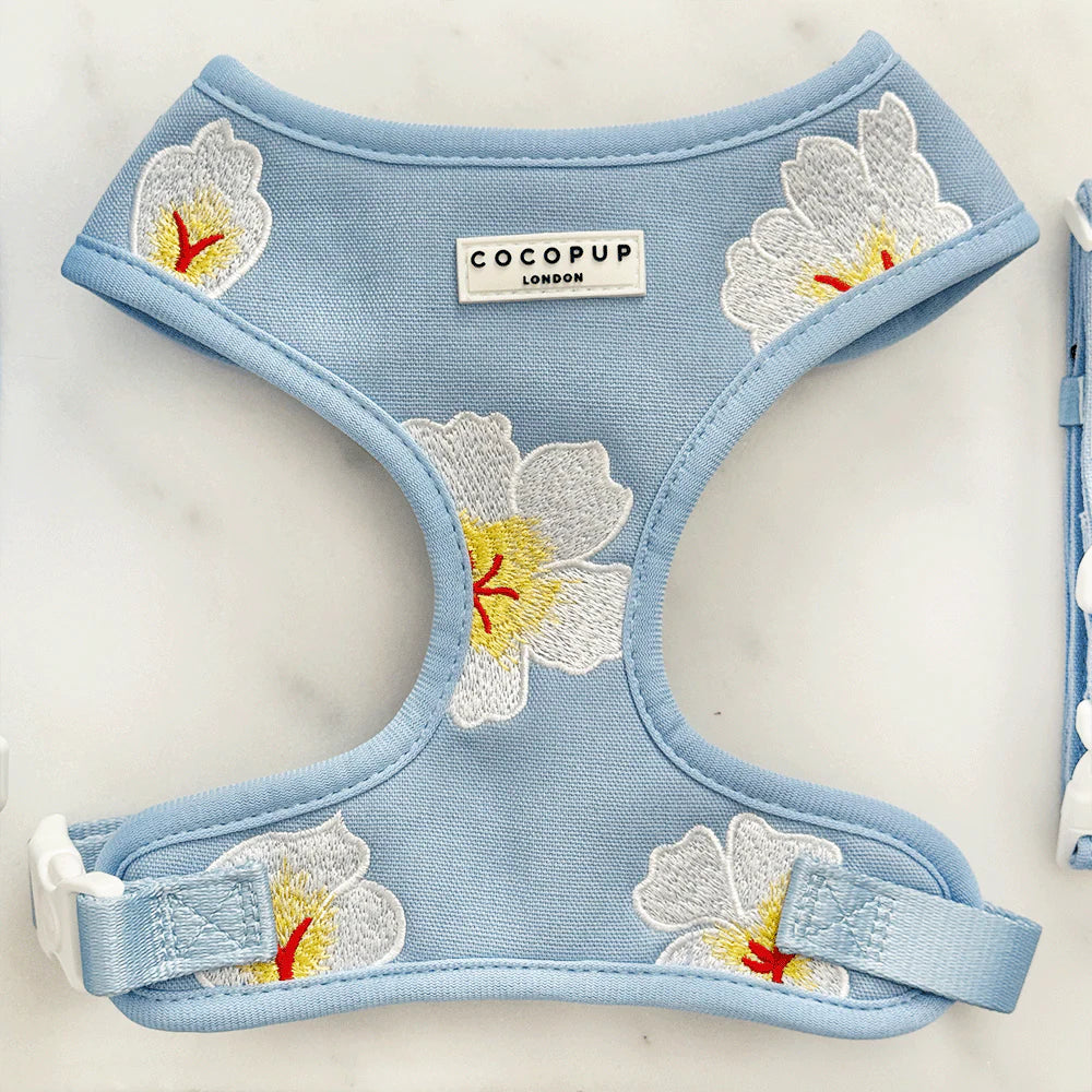 Blue Lagoon Harness