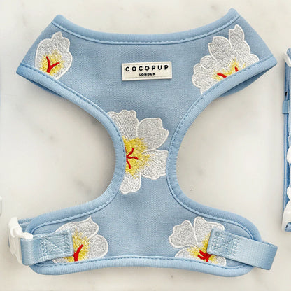 Blue Lagoon Harness