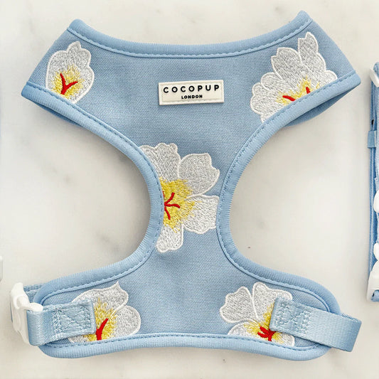 Blue Lagoon Harness