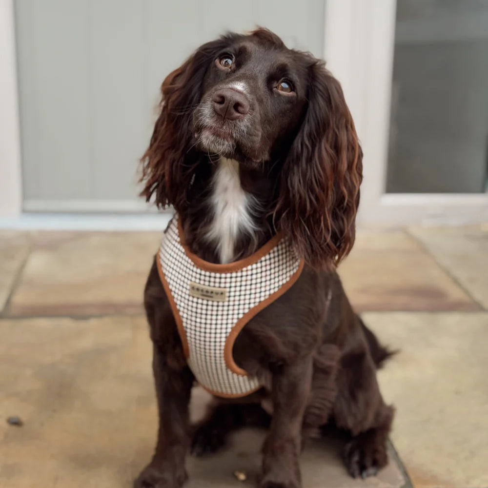 Heritage Harness