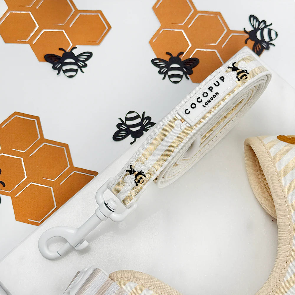Honey Meadow Leash