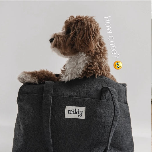 Bouclé Handbag Pet Carrier