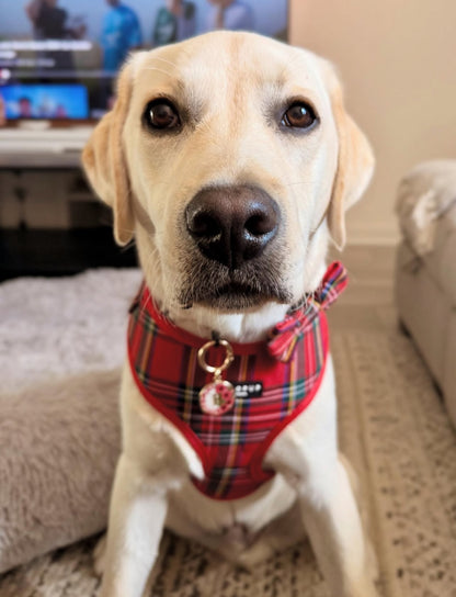 Tartan Harness