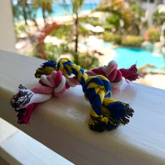 Puppy Rope Toy