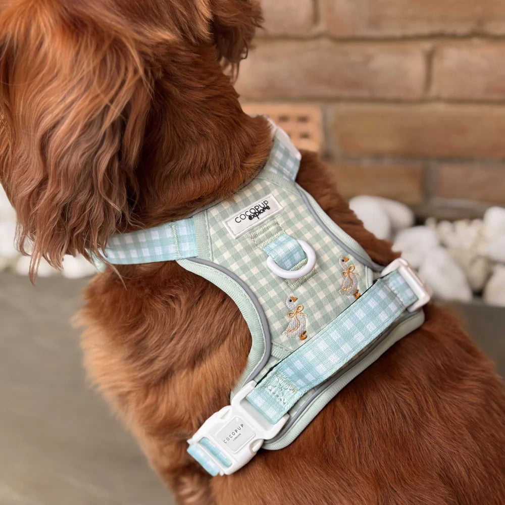 Silly Goose Explore Harness - XL